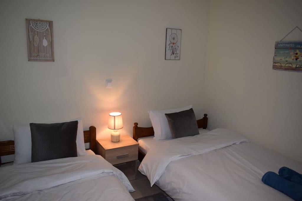 Apartament Deppy'S House Κοντά Στα Λουτρά Πόζαρ Chrysi Zewnętrze zdjęcie