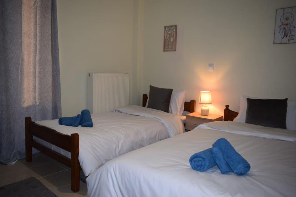Apartament Deppy'S House Κοντά Στα Λουτρά Πόζαρ Chrysi Zewnętrze zdjęcie