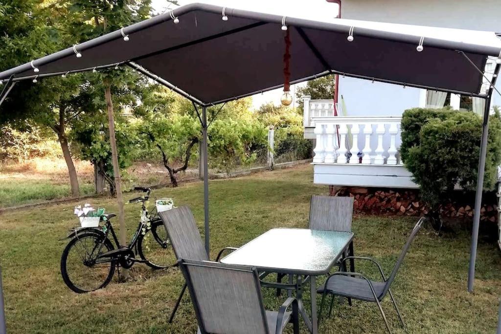 Apartament Deppy'S House Κοντά Στα Λουτρά Πόζαρ Chrysi Zewnętrze zdjęcie